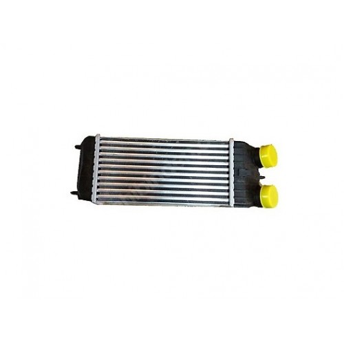 Ψυγείο Intercooler PEUGEOT 207 2006 - 2009 201803191059