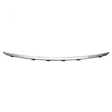 Διακοσμητικό Διχτυού Προφυλακτήρα BMW 3 Series 2014 - ( F30/31/34 )( F/L ) Εμπρός 154304010