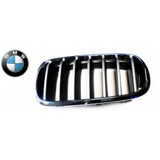 Καρδιά Μάσκας BMW X6 2014 - 162104642