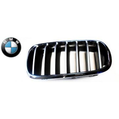 Καρδιά Μάσκας BMW X6 2014 - 162104642