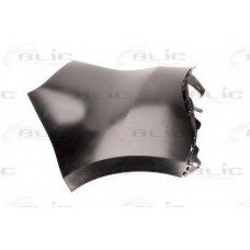 Άκρο Προφυλακτήρα RENAULT SCENIC 2008 - 2012 ( JZ ) Πίσω Δεξιά 038503951