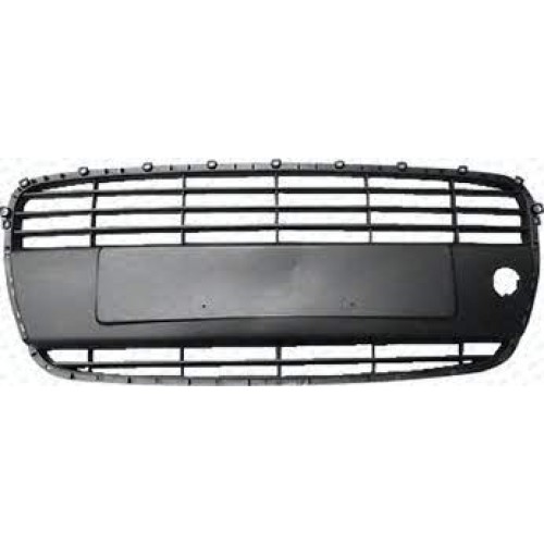 Δίχτυ Προφυλακτήρα HYUNDAI i10 2007 - 2010 068004800