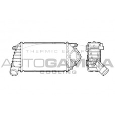 ΨΥΓΕΙΟ INTERCOOLER 1.4 TDi DIESEL (220x130x40) VW POLO 1999 - 2001 ( 6N2 ) 017206200