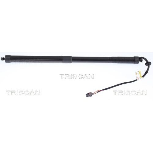 Αμορτισέρ Παγκάζ LANDROVER RANGE ROVER EVOQUE 2015 - ( F/L ) 691408310