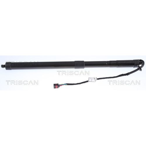 Αμορτισέρ Παγκάζ LANDROVER RANGE ROVER EVOQUE 2012 - 2015 690408330