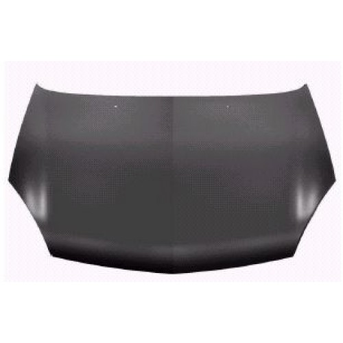 Καπό RENAULT CLIO 2001 - 2005 011300075