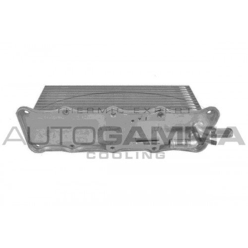 Ψυγείο Intercooler AUDI A4 2015 - ( 8W, B9 ) 130106240