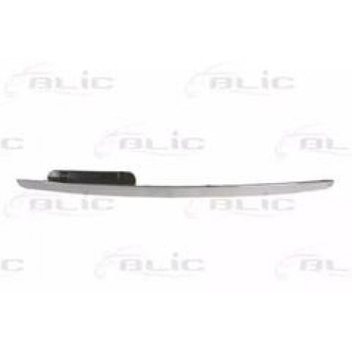 Χρώμιο Μάσκας MERCEDES A CLASS 2004 - 2008 ( W169 ) 021906700