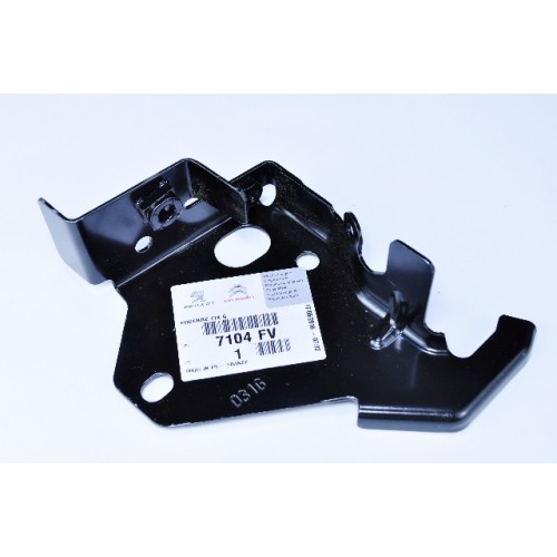 Ποδιά Μετώπης CITROEN DS4 2015 - Εμπρός πλαϊνή Αριστερά 216000472