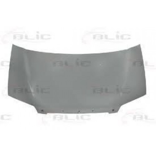 Καπό HYUNDAI H-1 STAREX 1998 - 2001 067000070