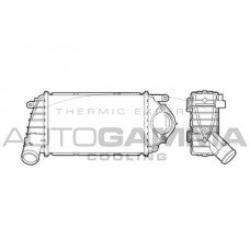 ΨΥΓΕΙΟ INTERCOOLER 1.4 TDi DIESEL (220x130x40) VW POLO 1999 - 2001 ( 6N2 ) 017206200