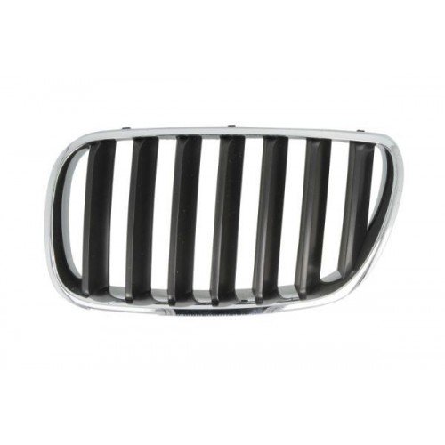 Καρδιά Μάσκας BMW X3 2007 - 2011 ( Ε83 F/L ) 059404652