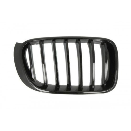 Καρδιά Μάσκας BMW X4 2014 - 2018 164004651 Καρδιά Μάσκας BMW X4 2014 - 2018 164004651