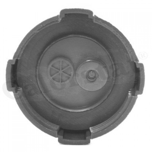 Δοχείο Διαστολής Νερού LANDROVER DEFENDER 1990 - 2006 ( LD ) CALORSTAT by Vernet RC0001