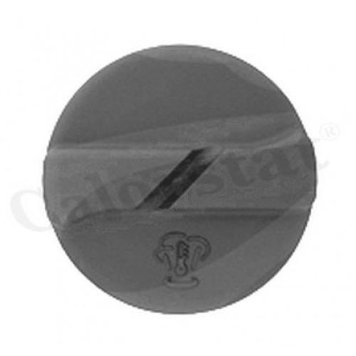 Δοχείο Διαστολής Νερού VW LUPO 1998 - 2005 ( 6X1 - 6E1 ) CALORSTAT by Vernet RC0005 Δοχείο Διαστολής Νερού VW LUPO 1998 - 2005 ( 6X1 - 6E1 ) CALORSTAT by Vernet RC0005