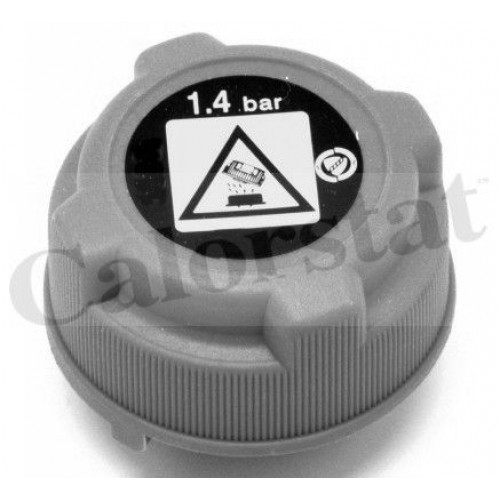 Δοχείο Διαστολής Νερού FORD KA 2008 - 2016 ( RU8 ) CALORSTAT by Vernet RC0023