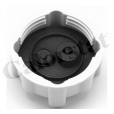Δοχείο Διαστολής Νερού RENAULT CLIO 2001 - 2005 CALORSTAT by Vernet RC0031