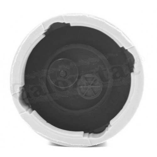 Δοχείο Διαστολής Νερού OPEL KADETT 1984 - 1994 ( E ) CALORSTAT by Vernet RC0039