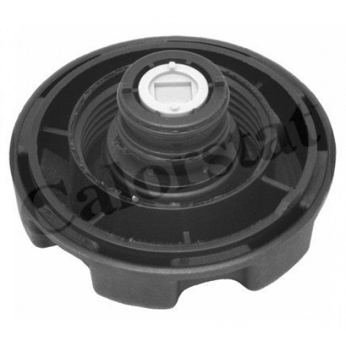 Δοχείο Διαστολής Νερού BMW X3 2004 - 2007 ( Ε83 ) CALORSTAT by Vernet RC0087