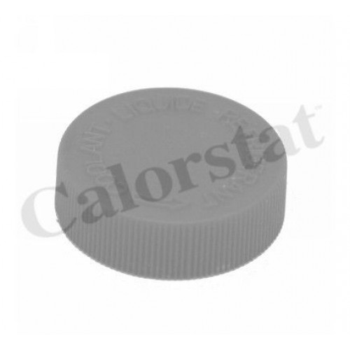 Δοχείο Διαστολής Νερού NISSAN ALMERA 2000 - 2002 ( N16 ) CALORSTAT by Vernet RC0184 Δοχείο Διαστολής Νερού NISSAN ALMERA 2000 - 2002 ( N16 ) CALORSTAT by Vernet RC0184