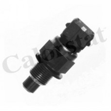 Θερμικός Διακόπτης, Βεντιλατέρ Ψυγείου PEUGEOT 206 1998 - 2002 CALORSTAT by Vernet WS2632