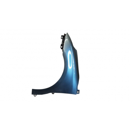 Φτερό CITROEN C4 2004 - 2007 ( LC ) Εμπρός Αριστερά 020700662