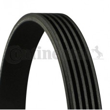Ιμάντας poly-V NISSAN MICRA 2000 - 2003 ( K11 ) CONTINENTAL CTAM 5