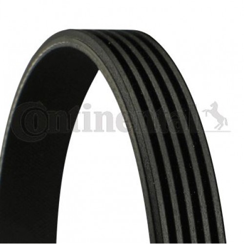 Ιμάντας poly-V NISSAN MICRA 2000 - 2003 ( K11 ) CONTINENTAL CTAM 5 Ιμάντας poly-V NISSAN MICRA 2000 - 2003 ( K11 ) CONTINENTAL CTAM 5