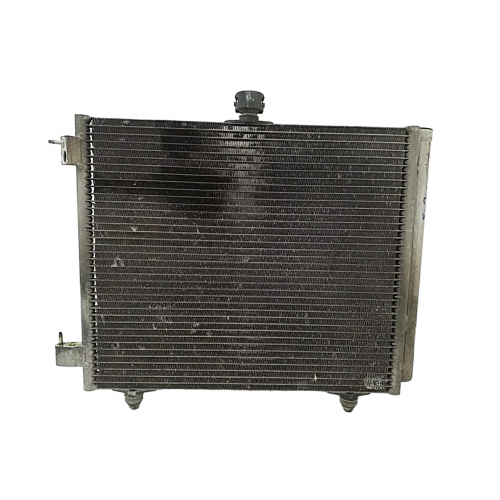 Ψυγείο A/C (Εξωτερικό) PEUGEOT 207 2006 - 2009 DENSO DCN21009 Ψυγείο A/C (Εξωτερικό) PEUGEOT 207 2006 - 2009 DENSO DCN21009