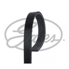 Ιμάντας poly-V HYUNDAI ACCENT 2006 - 2011 ( MC ) GATES 5PK1800