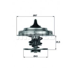 Θερμοστάτης MAHLE TX 18 79