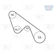 Σετ ιμάντων poly-V FIAT BRAVO 2007 - 2011 OPTIBELT 5 PK 1150KT1