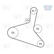 Σετ ιμάντων poly-V VW NEW BEETLE 2005 - 2011 ( 9C1 ) OPTIBELT 6 DPK 1195KT1