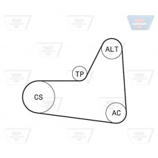 Σετ ιμάντων poly-V VW GOLF 2004 - 2008 ( Mk5 ) OPTIBELT 6 PK 1045KT2