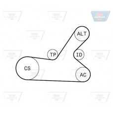 Σετ ιμάντων poly-V PEUGEOT 307 2001 - 2005 ( 3A ) ( 3C ) OPTIBELT 6