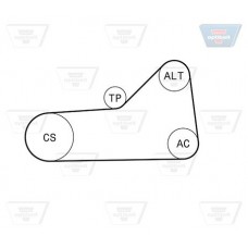 Σετ ιμάντων poly-V VW GOLF 1992 - 1998 ( Mk3 ) OPTIBELT 6