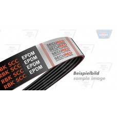 Ιμάντας poly-V VW GOLF 2004 - 2008 ( Mk5 ) OPTIBELT 6 PK 894 SCC