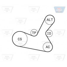 Σετ ιμάντων poly-V VW PASSAT 2000 - 2005 ( 3B3 ) OPTIBELT 5 PK 1300KT1