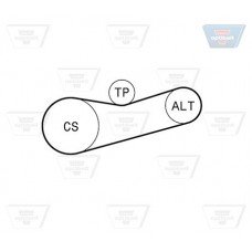 Σετ ιμάντων poly-V VW POLO 2002 - 2005 ( 9N ) OPTIBELT 6