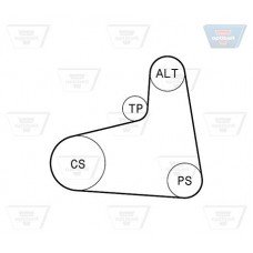 Σετ ιμάντων poly-V VW NEW BEETLE 2005 - 2011 ( 9C1 ) OPTIBELT 6