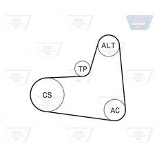Σετ ιμάντων poly-V VW LUPO 1998 - 2005 ( 6X1 - 6E1 ) OPTIBELT 6