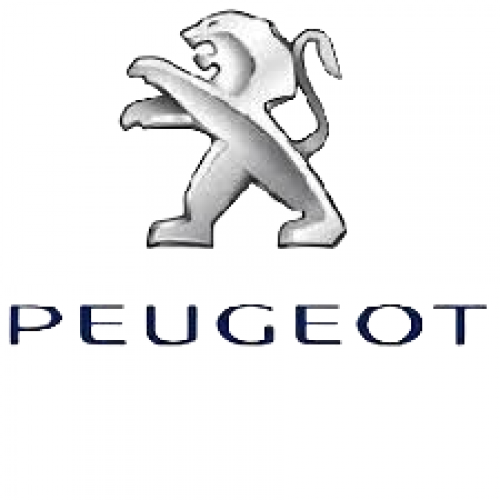 Σήμα PEUGEOT EXPERT 2016 - 98148069VD
