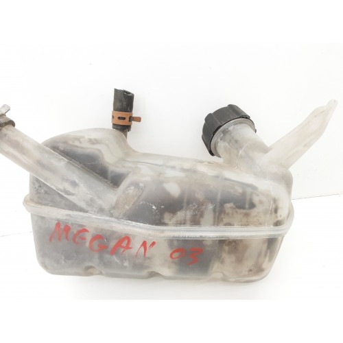 Δοχείο Διαστολής Νερού RENAULT MEGANE 2002 - 2005 8200273157