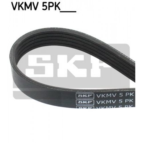 Ιμάντας poly-V OPEL VECTRA 2002 - 2005 ( C ) SKF VKMV 5PK1255