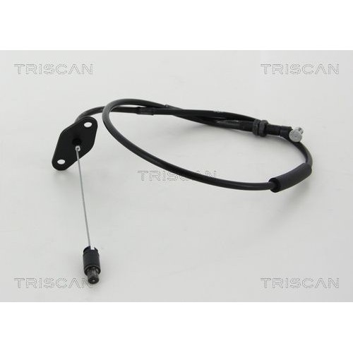 Ντίζα γκαζιού TRISCAN 8140 43310 Ντίζα γκαζιού TRISCAN 8140 43310