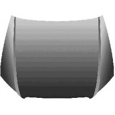 Καπό AUDI A4 2005 - 2008 ( 8E )( 8H ) 021700075