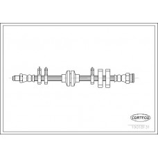 Μαρκούτσια Φρενων FIAT TIPO 1988 - 1992 ( 160 ) CORTECO 19018131