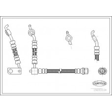 Μαρκούτσια Φρενων TOYOTA YARIS 2003 - 2006 ( XP10 ) CORTECO 19033104