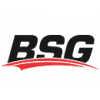 BSG