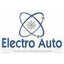 electro auto